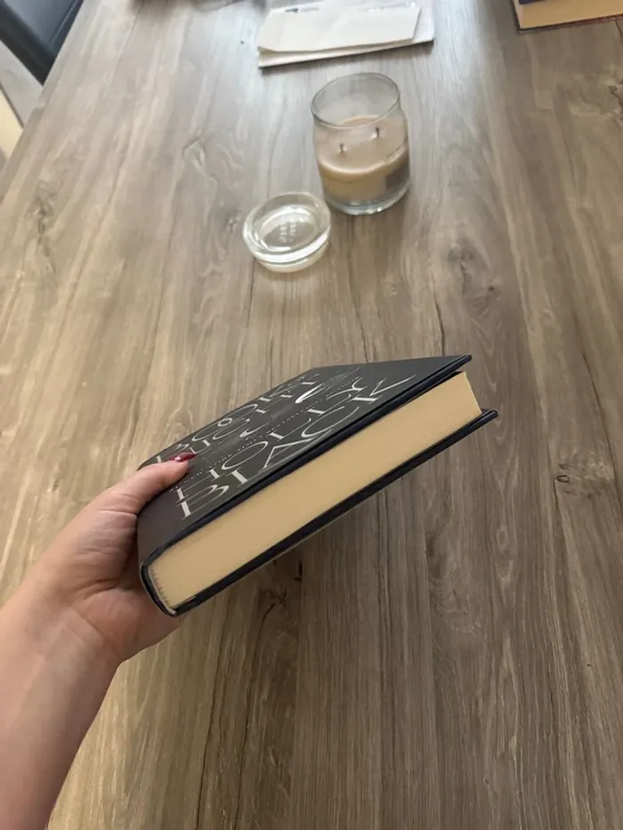 Holly Black - Book of Night - photo numéro 3