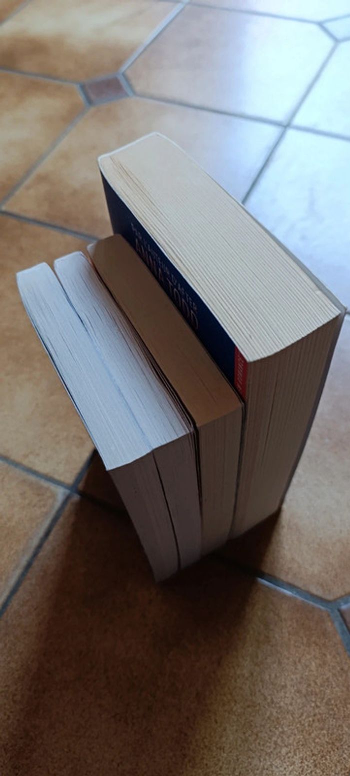 Integral de la série after - photo numéro 9