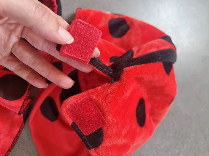 Déguisement de coccinelle - photo numéro 7