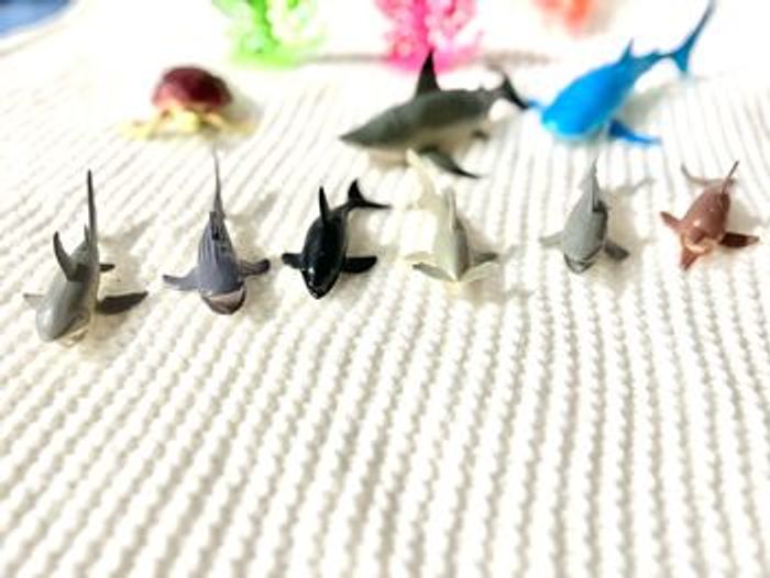Crabe, requin, tortue, cage, hippocampe, algue, calamar. - photo numéro 5