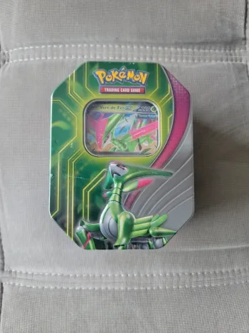 Pokébox Choc Paradoxe – Vert-De Fer EX - FR