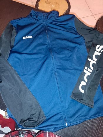 Veste adidas 13/14 ans