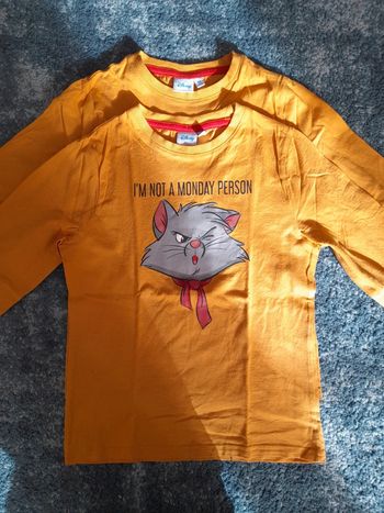 Lot tee-shirt aristochat jumeaux