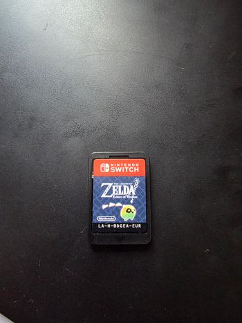 Zelda Echoes of Wisdom Switch