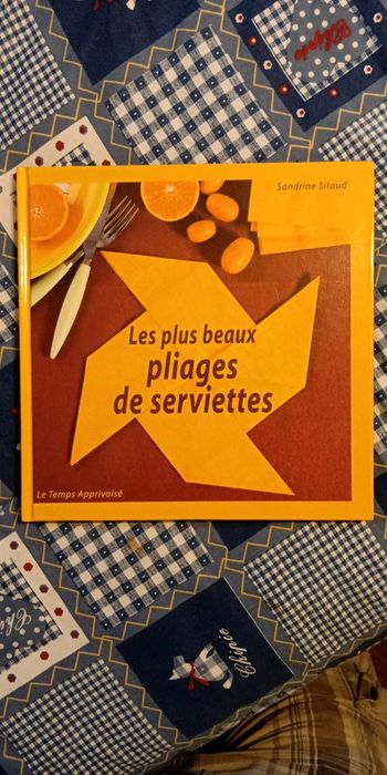 Les plus beaux pliages de serviettes