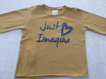 Tee-shirt Zara Girls 4 ans (réf perso F-T5)(familleac72)