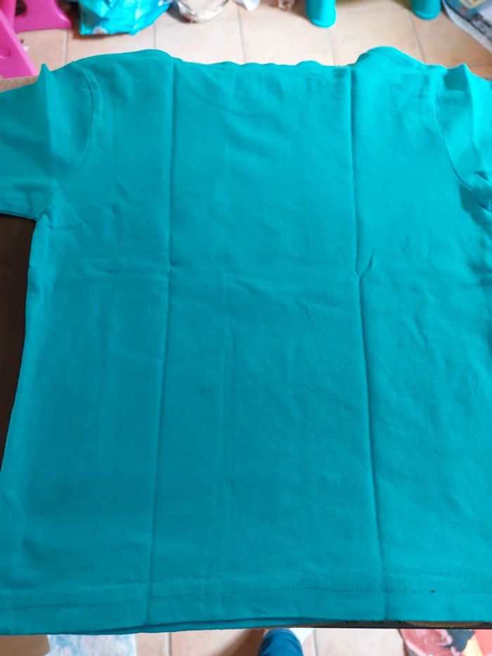 Lot de 2 T-shirts manches courtes 4A - photo numéro 10