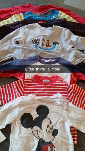 Tee shirts 12 mois