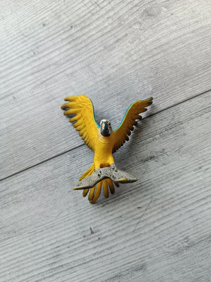 Ara Schleich - photo numéro 2