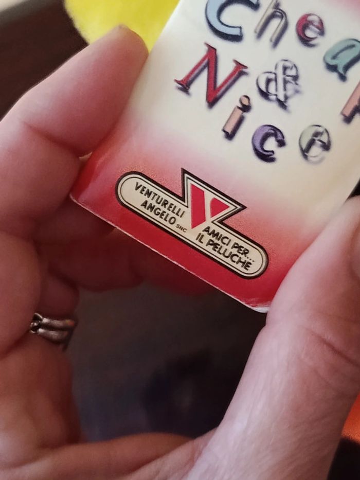 Canard Venturelli - photo numéro 3