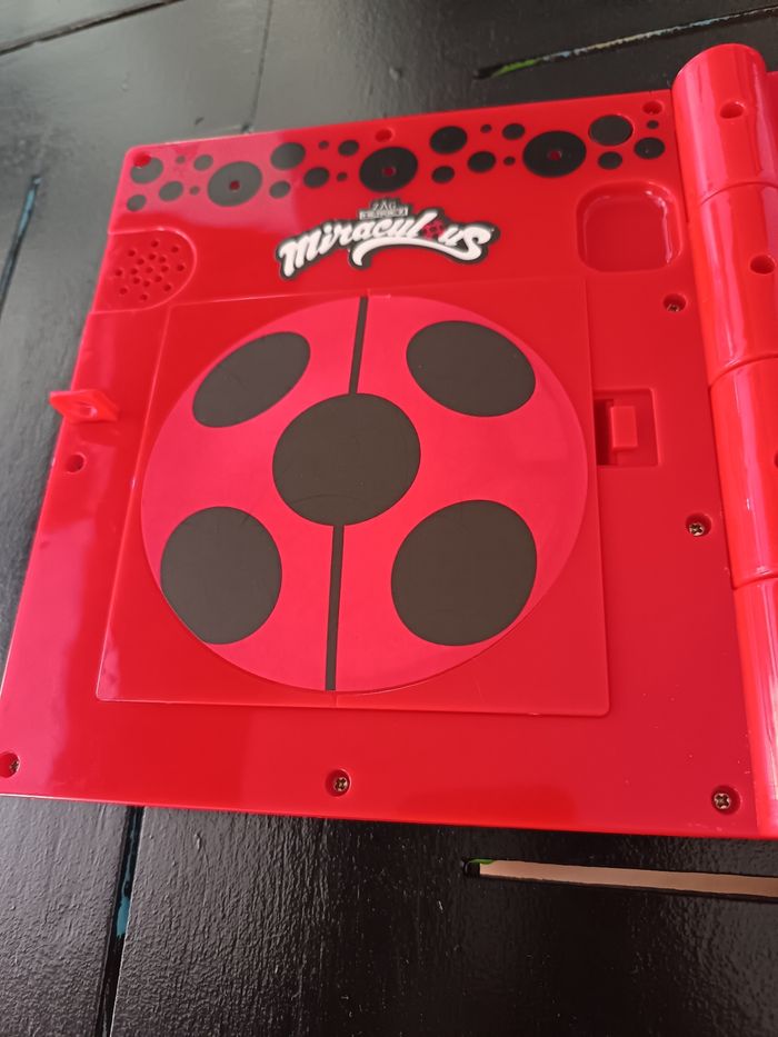 Journal intime lady bug - photo numéro 4