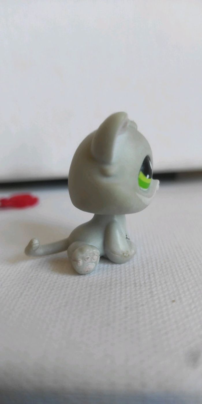 My littlest petshop chat snowshoe 88 avec collier accessoire - photo numéro 3