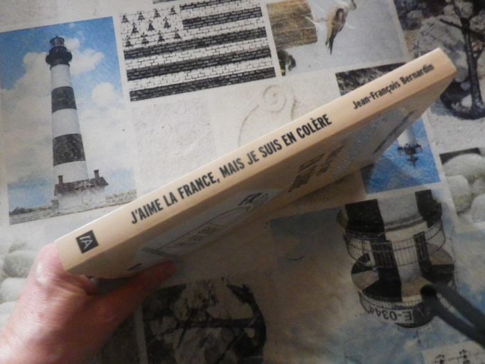 J'aime la France mais je suis en colère par Jean-François Bernardin Ed.L'Archipel - photo numéro 3