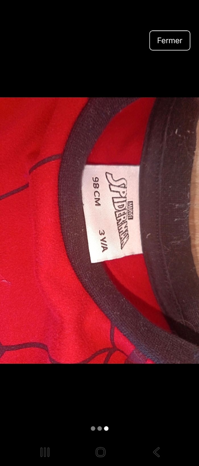 Spider man - photo numéro 3