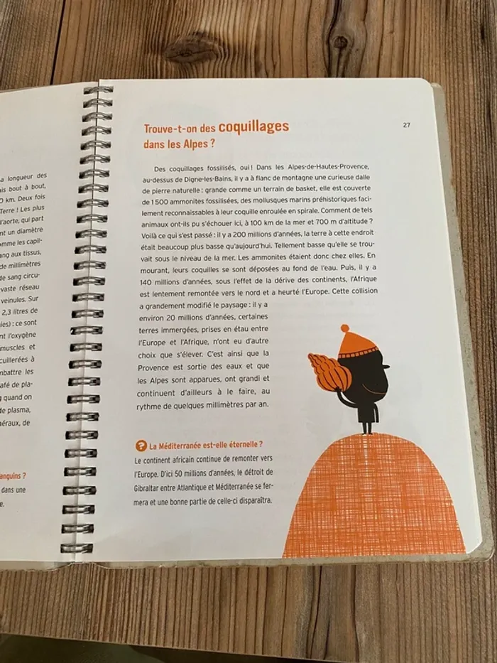 Livre Toutes les réponses aux questions que vous ne vous êtes jamais posées - photo numéro 7