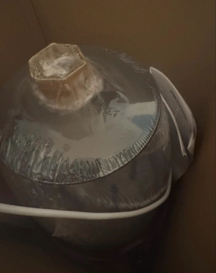 Stérilisateur Baby moov turbo steam neuf - photo numéro 3