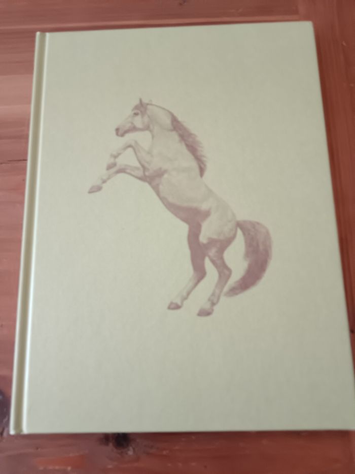 La passion des chevaux - photo numéro 3