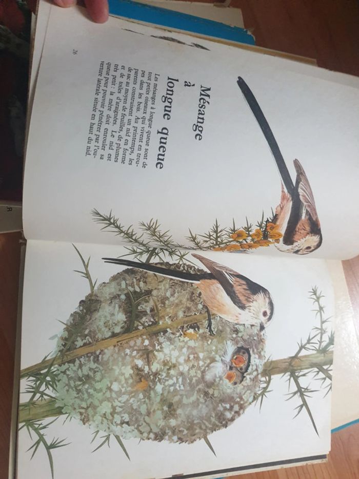 Lot de livres - photo numéro 6