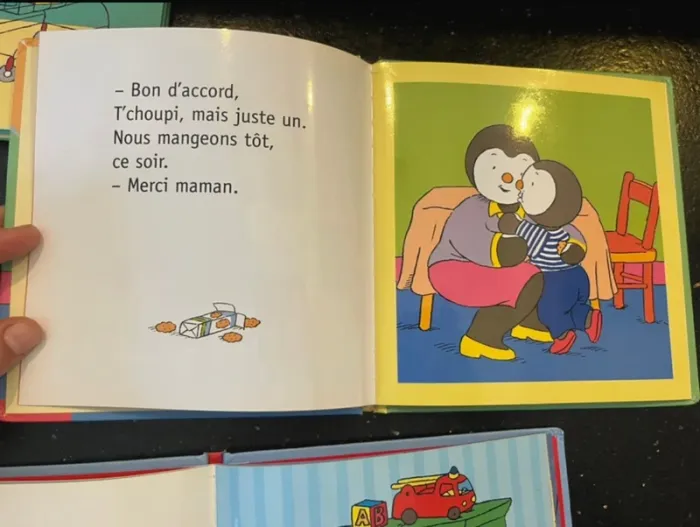 Livres enfant t’choupi - photo numéro 7