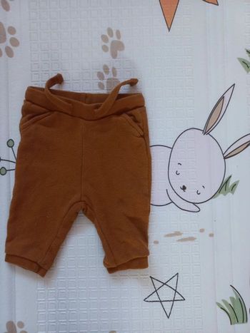 Pantalon camel