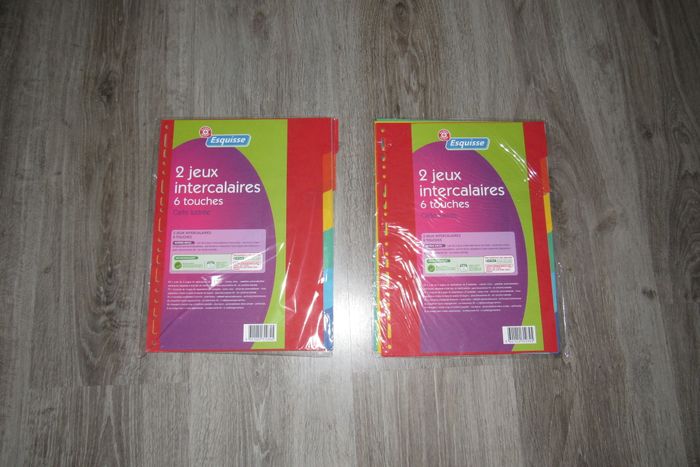 LOT DE 2 PAQUETS D'INTERCALAIRES - GRAND FORMAT "ESQUISSE" - NEUF - n°29