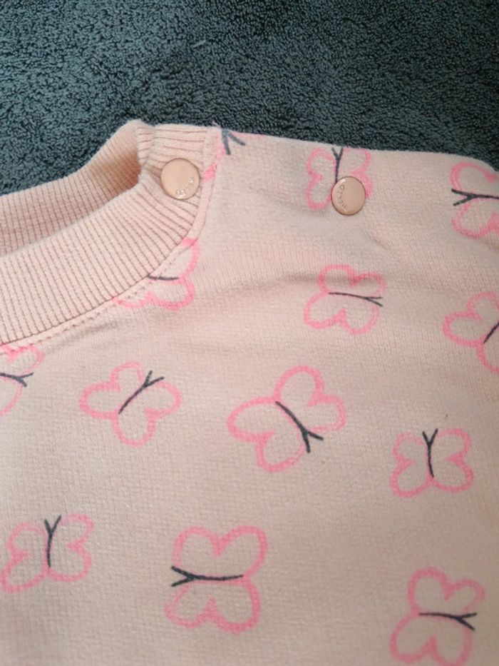 Pulls zeeman papillon - photo numéro 3