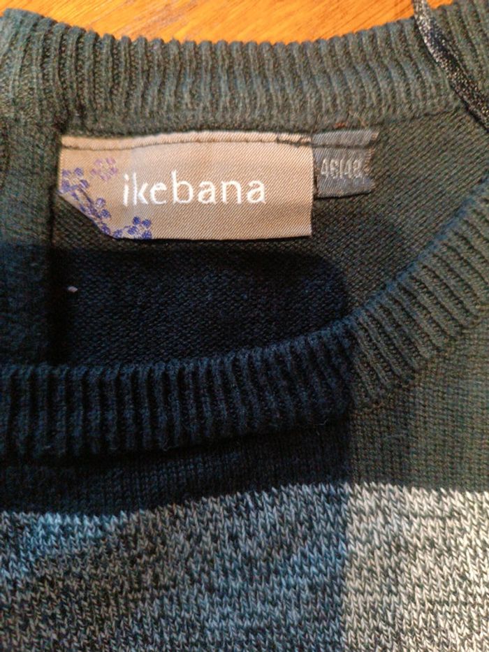 Pull rayé Ikebana 46 - photo numéro 4