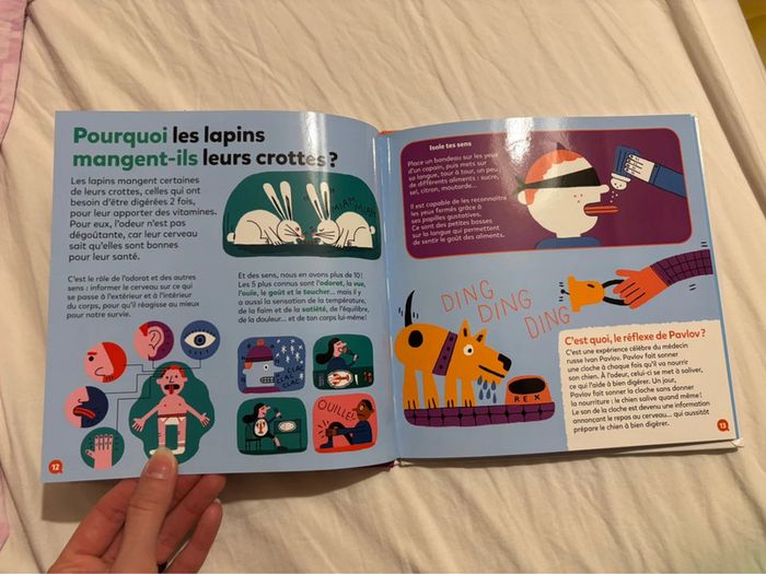 Livre Mes p’tites questions - Le cerveau - photo numéro 8