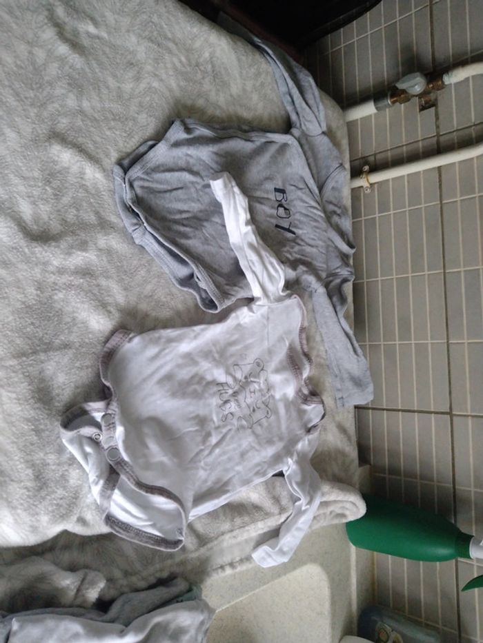 Lot de 6 bodys 12 mois - photo numéro 2