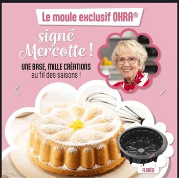 Moule mercotte Guy demarle neuf 