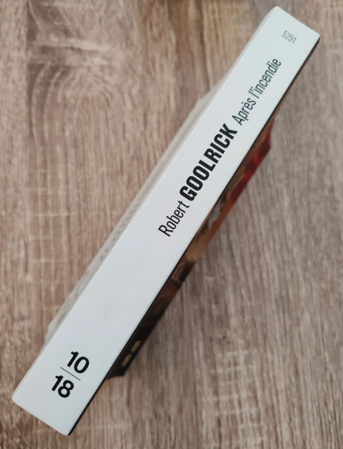 Robert Goolrick 🟣 Après l'incendie - photo numéro 2