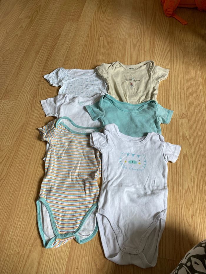 Bodies