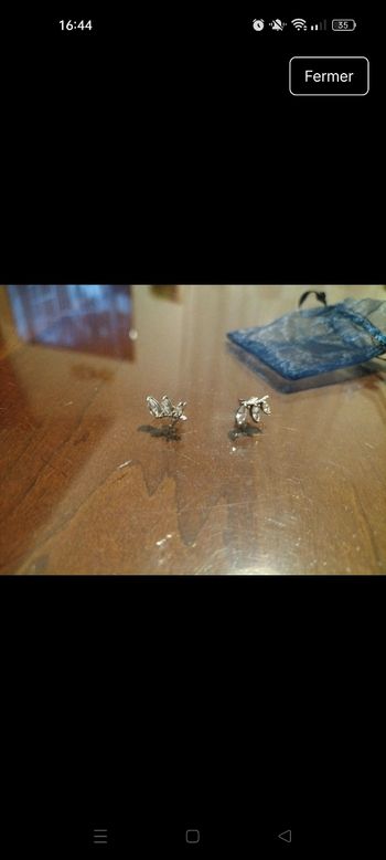 Boucle d'oreille montante