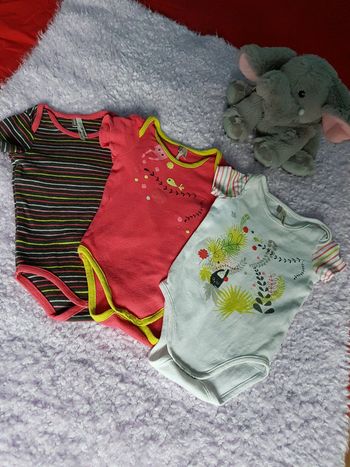 Lot de 3 bodie 3mois.