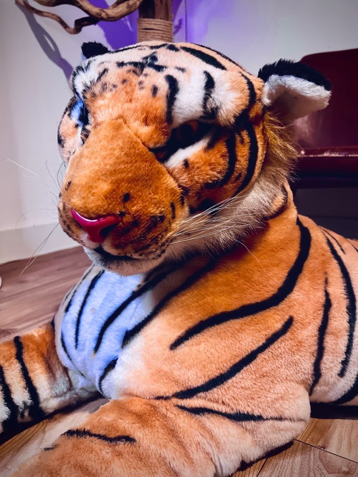 Grande Peluche Tigre 160 cm XXL - photo numéro 4
