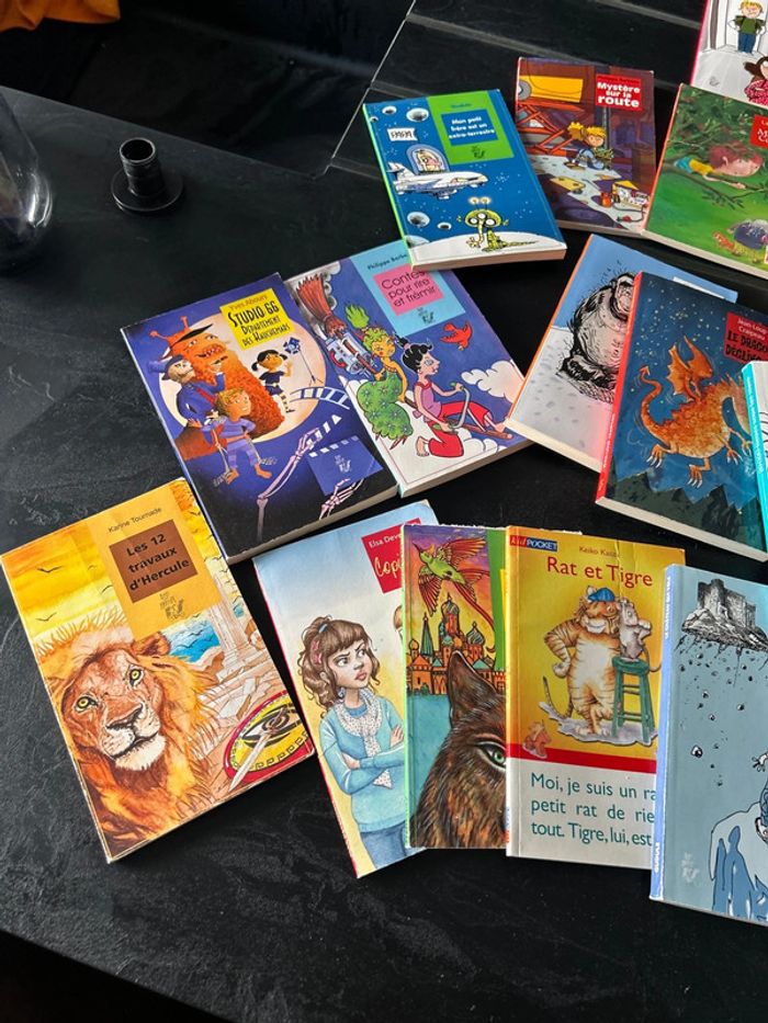 Lot de livres - photo numéro 3