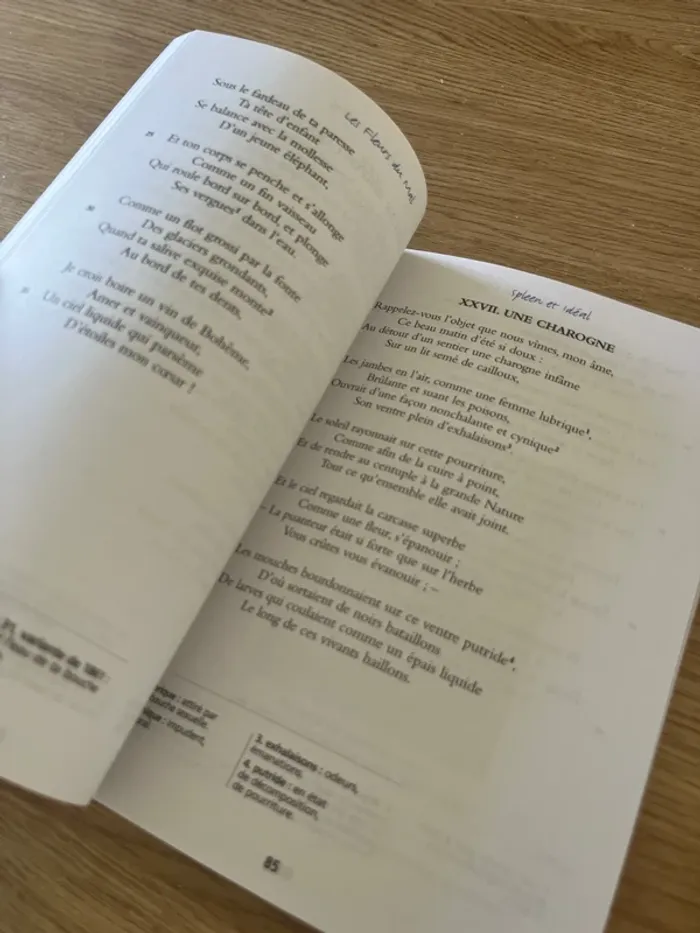 Les fleurs du mal - photo numéro 2