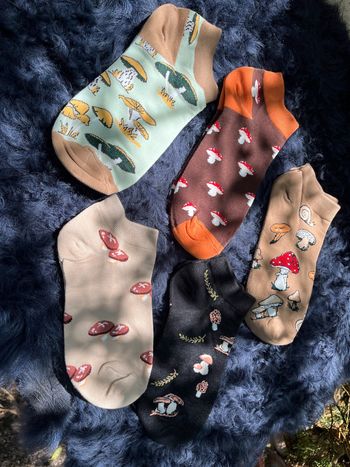 Lot de 5 paires de socquettes thème forêt & champignons – automne magique