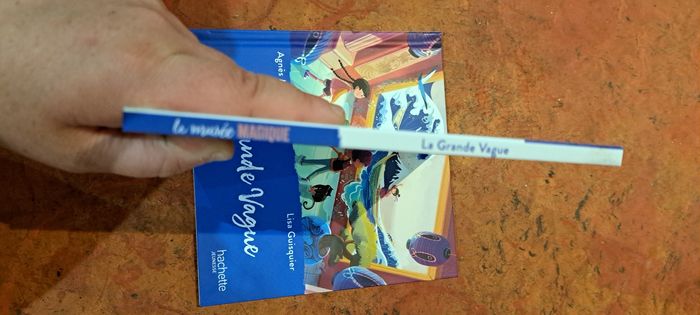 Livre la grande vague - photo numéro 2