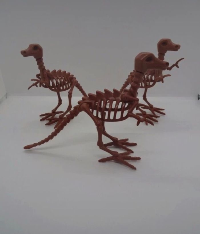 3 squelette dinosaure - photo numéro 4