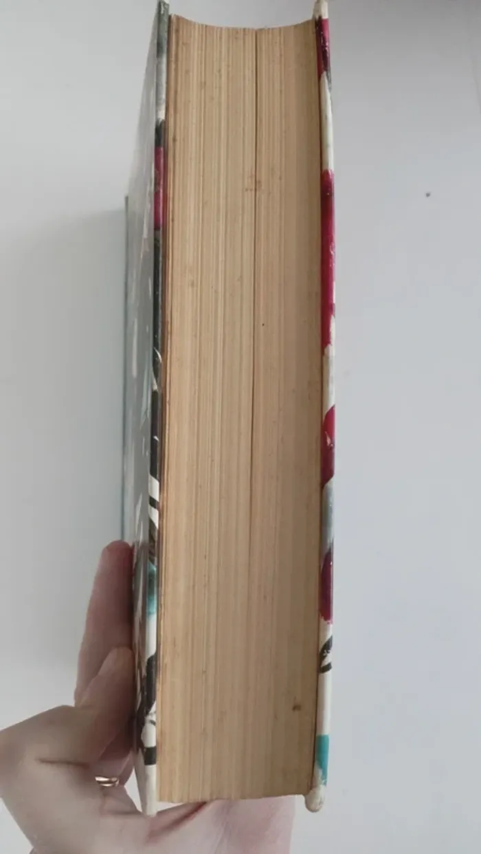 livre madame bovary - photo numéro 2
