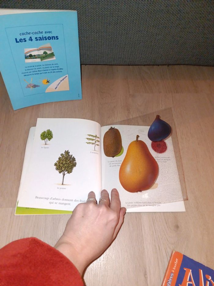 Lot deux livres mes livres magiques cache cache avec les fruits du jardin - les 4 saisons - photo numéro 4