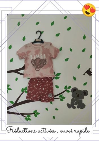 Ensemble 12 mois roi lion