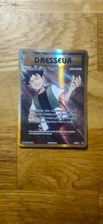 Carte Pokemon Vaillance de Pierre 107/108
