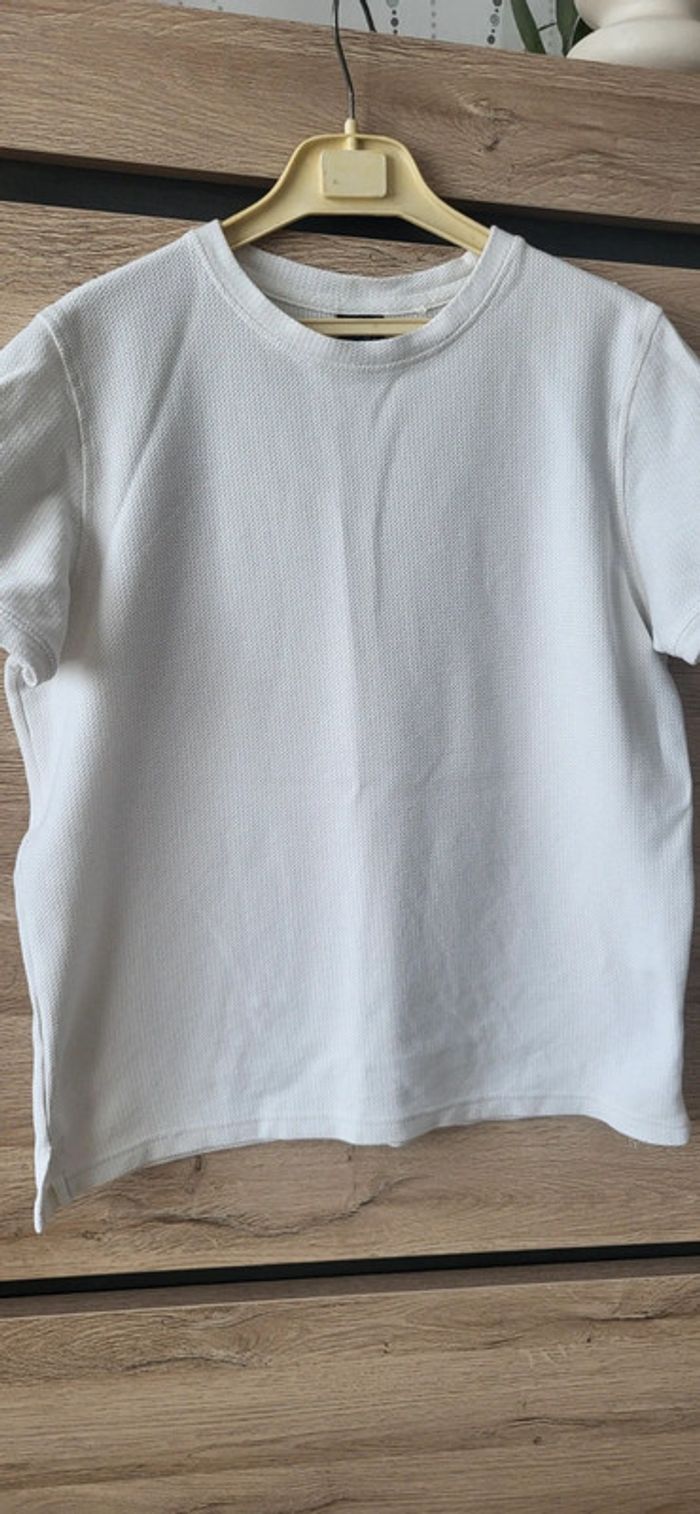 Tee-shirt manche courte