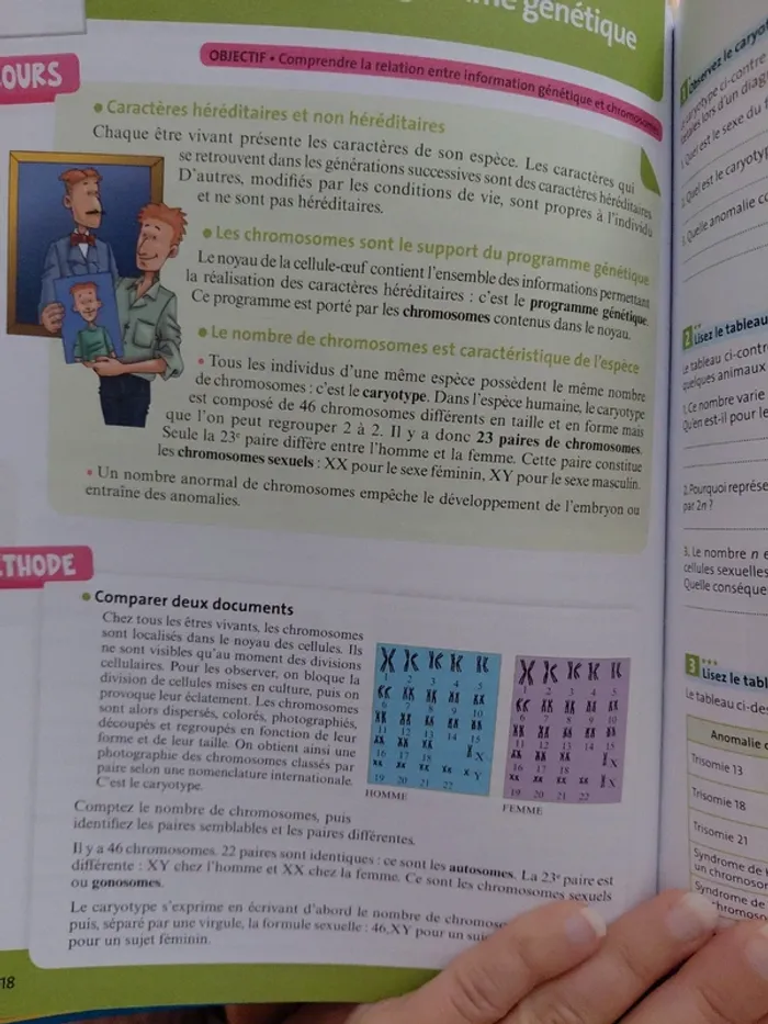 L'année de 3eme - photo numéro 6