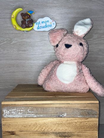 NAD30 doudou lapin 🐰 nature et découvertes 