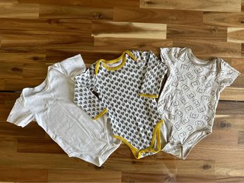 Lot de 3 Bodies 12 Mois