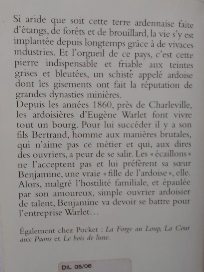 Françoise Bourdon - Le maître ardoisier - photo numéro 3