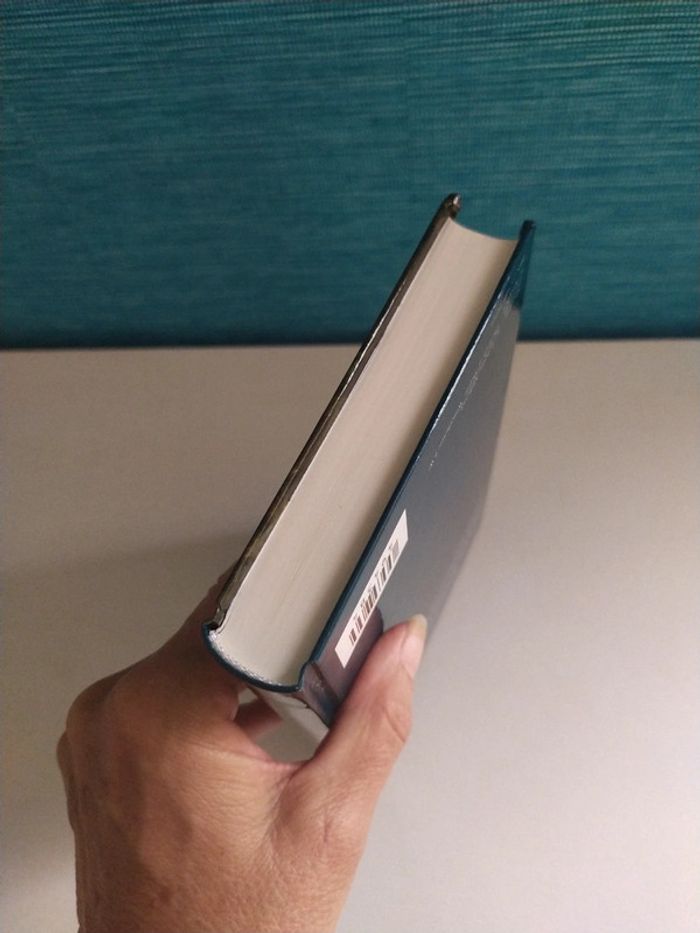 Le crépuscule des Elfes de Jean Louis Fetjaine - photo numéro 6